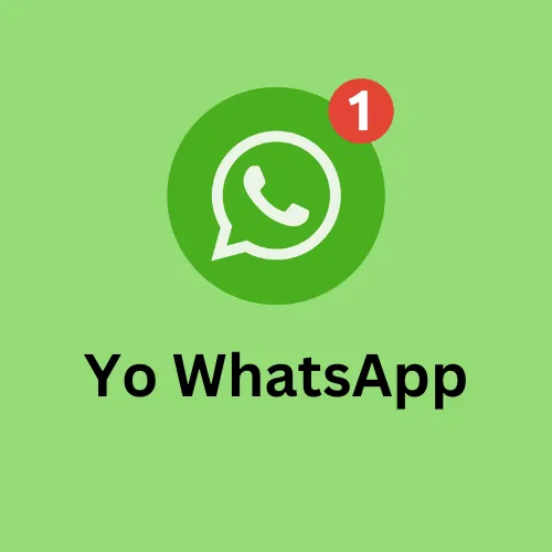 yo WhatsApp chat