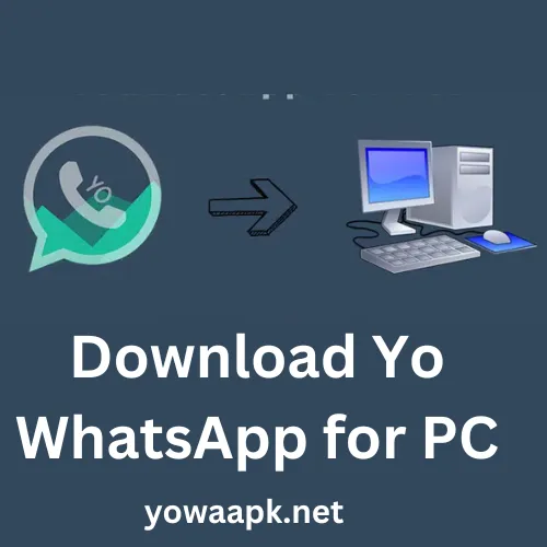 download-of-yo-WhatsApp-for-pc-now