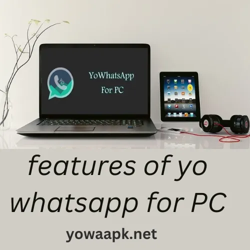 features-of-yo-WhatsApp-for-pc-